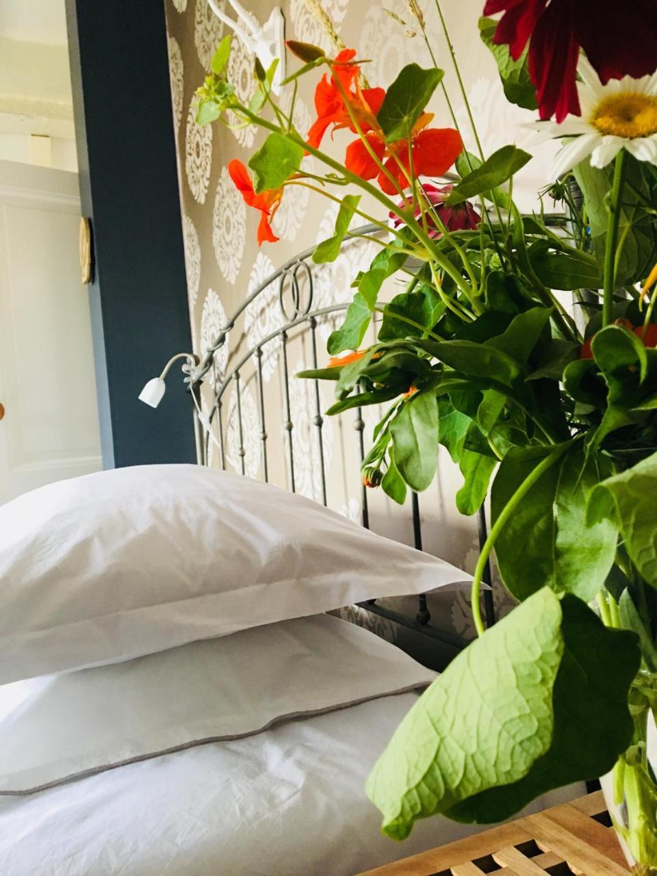 B&B Het Rode Hert ドゥースブルフ エクステリア 写真